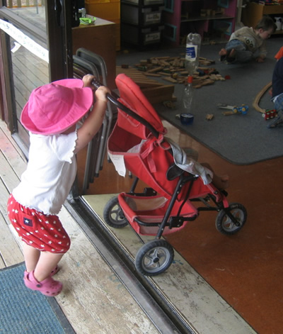 apcstroller.jpg
