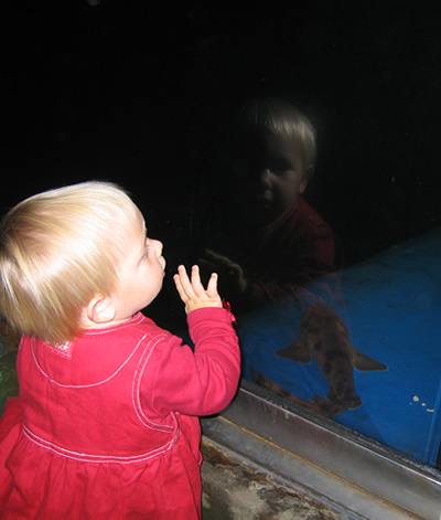 aquarium3.jpg