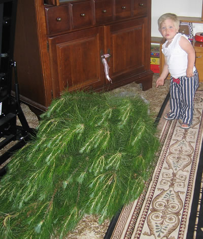 chrissytree2.jpg