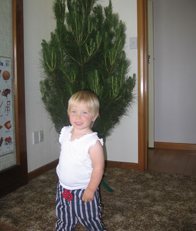 chrissytree3.jpg