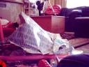 christmas07.jpg