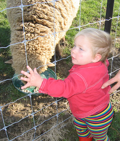 fairmontfarm.jpg