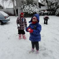 Snow fight