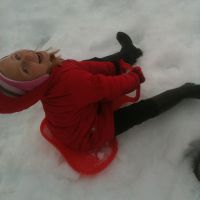 Poppy in the snow!