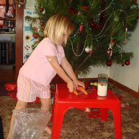 Putting out Santa\'s cookies & milk with carrots for the reindeer