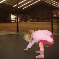 The trampoline in the horse arena