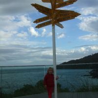Poppy at the tip of the South Island