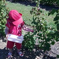 image0031