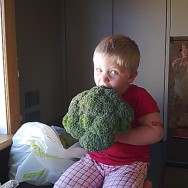 Biggest Brocolli!