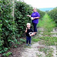 Picking berries with Mum