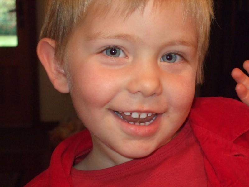 Cheeky Monkey