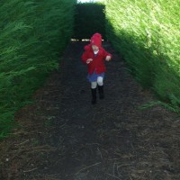 Poppy running through the maze