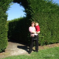 Outside the Stoneridge Cafe Maze