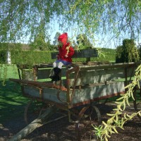 Playing on the old wagon