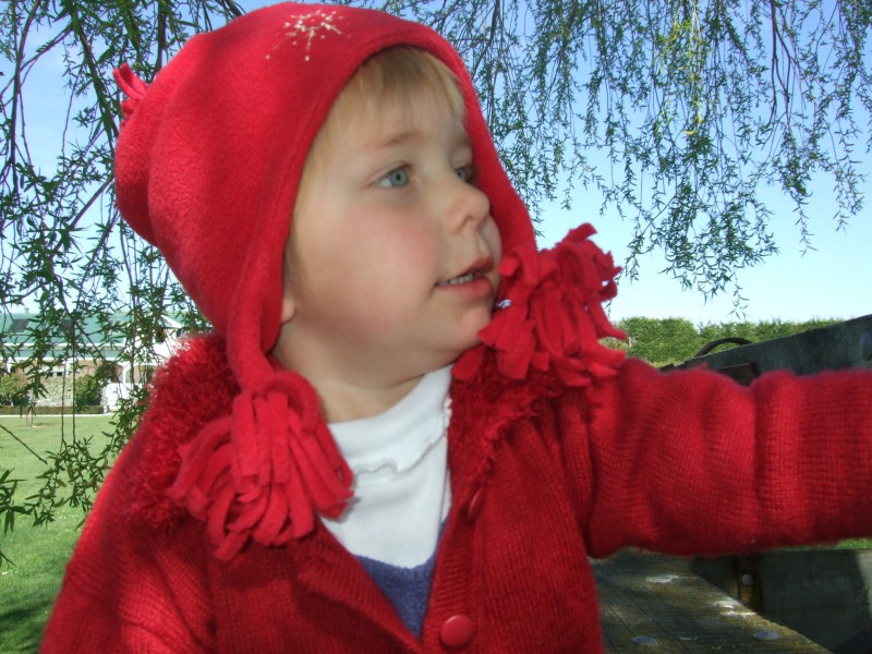 Poppy on Father's Day