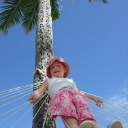 Poppy up a palm tree