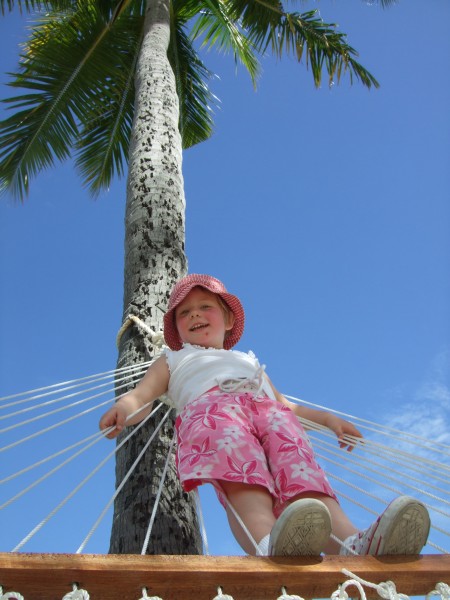 Poppy up a palm tree