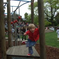 Adventure Playground
