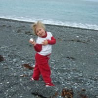 Collecting white rocks on Kaikoura beach