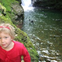 Ohau Stream Walk & baby seal nursery