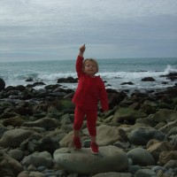 Checking out the seals on the rocks