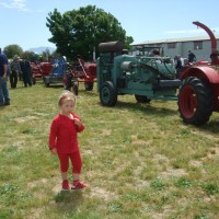 The Blenheim Market Day included old tractors & cars