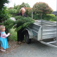 Yogi helps transport our tree home