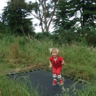 Poppy on the tramp
