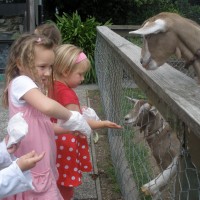 Shannon, Ayla & Poppy