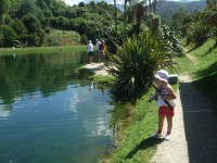 Fishing at Anatoki Salmon