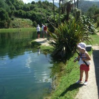 Fishing at Anatoki Salmon