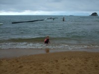 Twilight swim at Kaiteriteri Beach