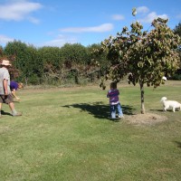 Yogi & GranJan made a treasure hunt