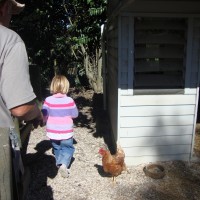 The chook house