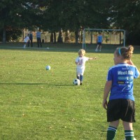 Drills