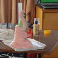 DSC00253