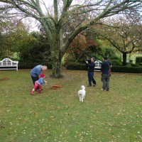 Poppy raking leaves after the storm
