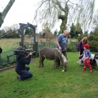 Down on the farm with the animals