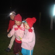 Off for a glow worm walk in the dark