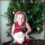 christmaswishes christmaswishes