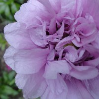 DSC02055