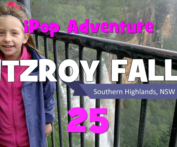 Week Twenty Five: Fitzroy Falls