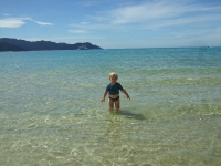 A dip in Awaroa bay before the water taxi arrives