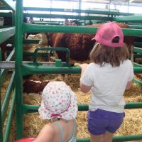 Off to the animal stalls Off to the animal stalls