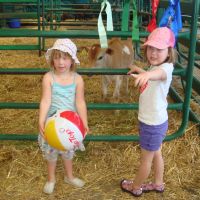 cute calves cute calves