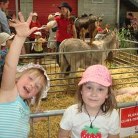 petting zoo petting zoo