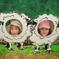 Poppy Sheep Poppy Sheep