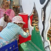 Milking - have a go Milking - have a go