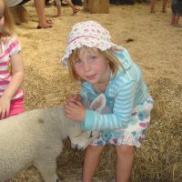 Lamb petting Lamb petting