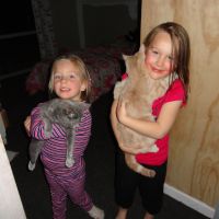 Ayla\'s cats are a huge hit with Poppy
